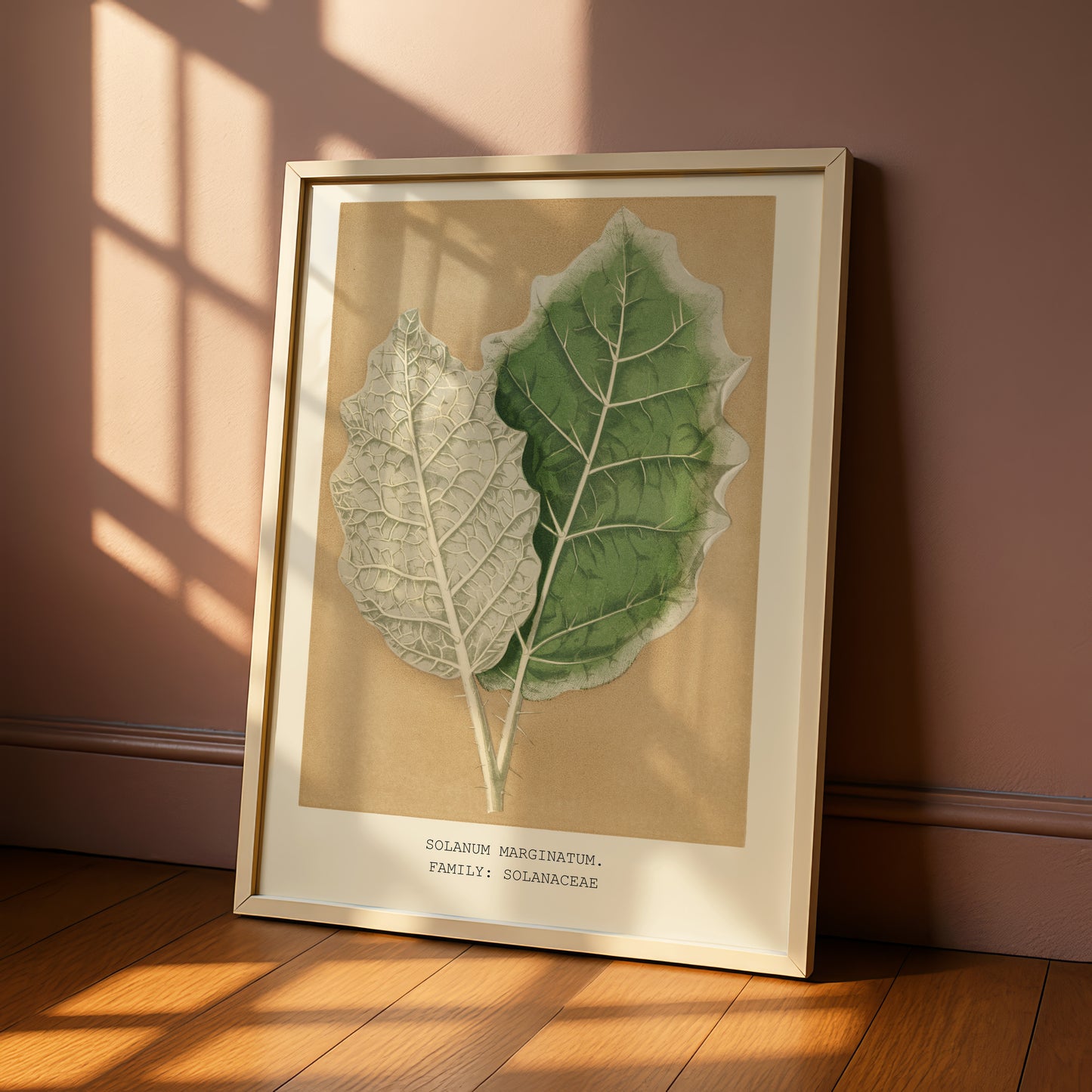 A framed botanical illustration of two leaves, one green and one white, is displayed on a wooden floor against a pink wall.