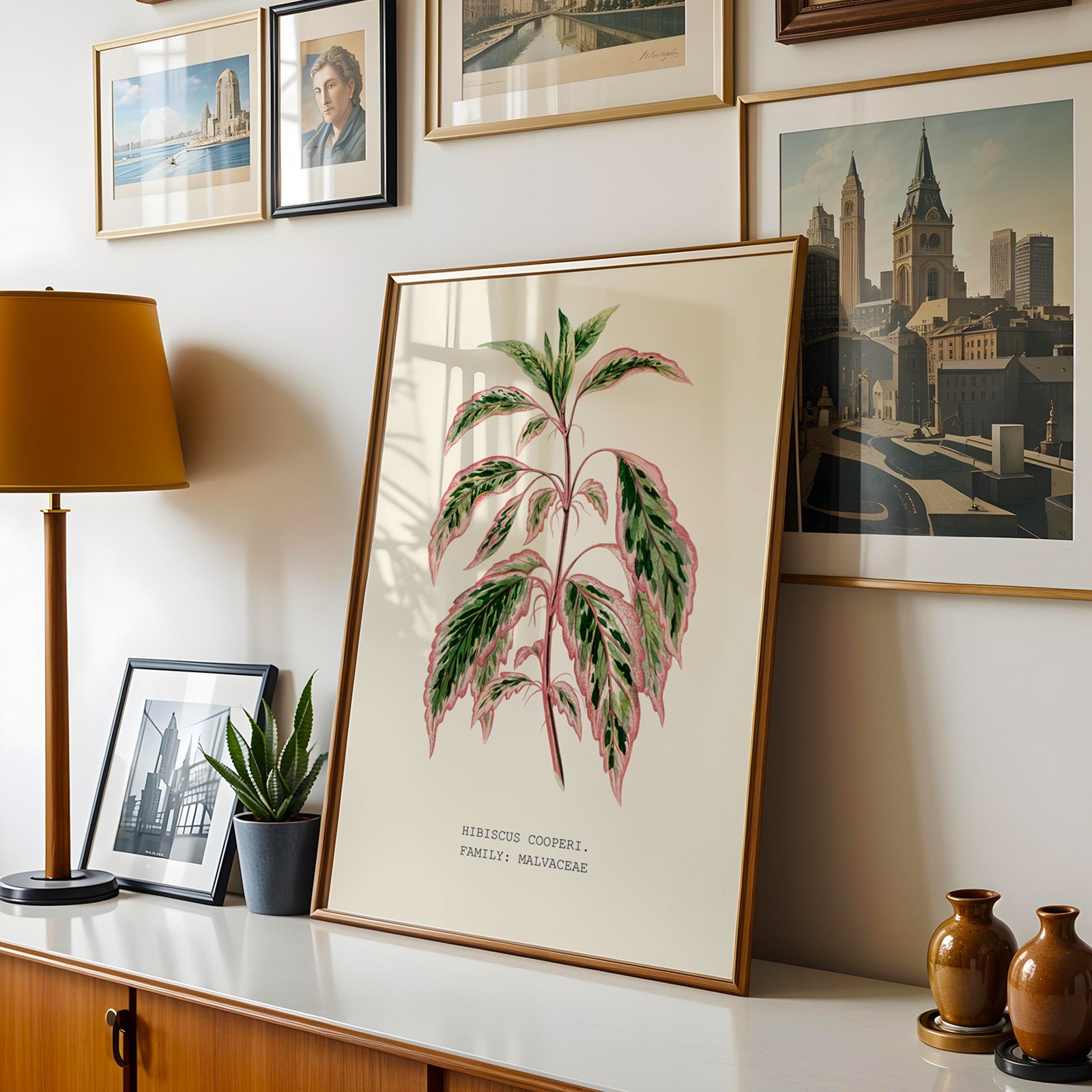 a framed botanical illustration of a plant with large leaves, placed on a shelf or table. The plant appears to be a type of tropical or exotic houseplant, with a text that reads "HIBUS COOPERI FAMILY: MAVALCEA". The surrounding area includes a lamp, a vase, and other decorative items, creating a cozy and aesthetically pleasing display.