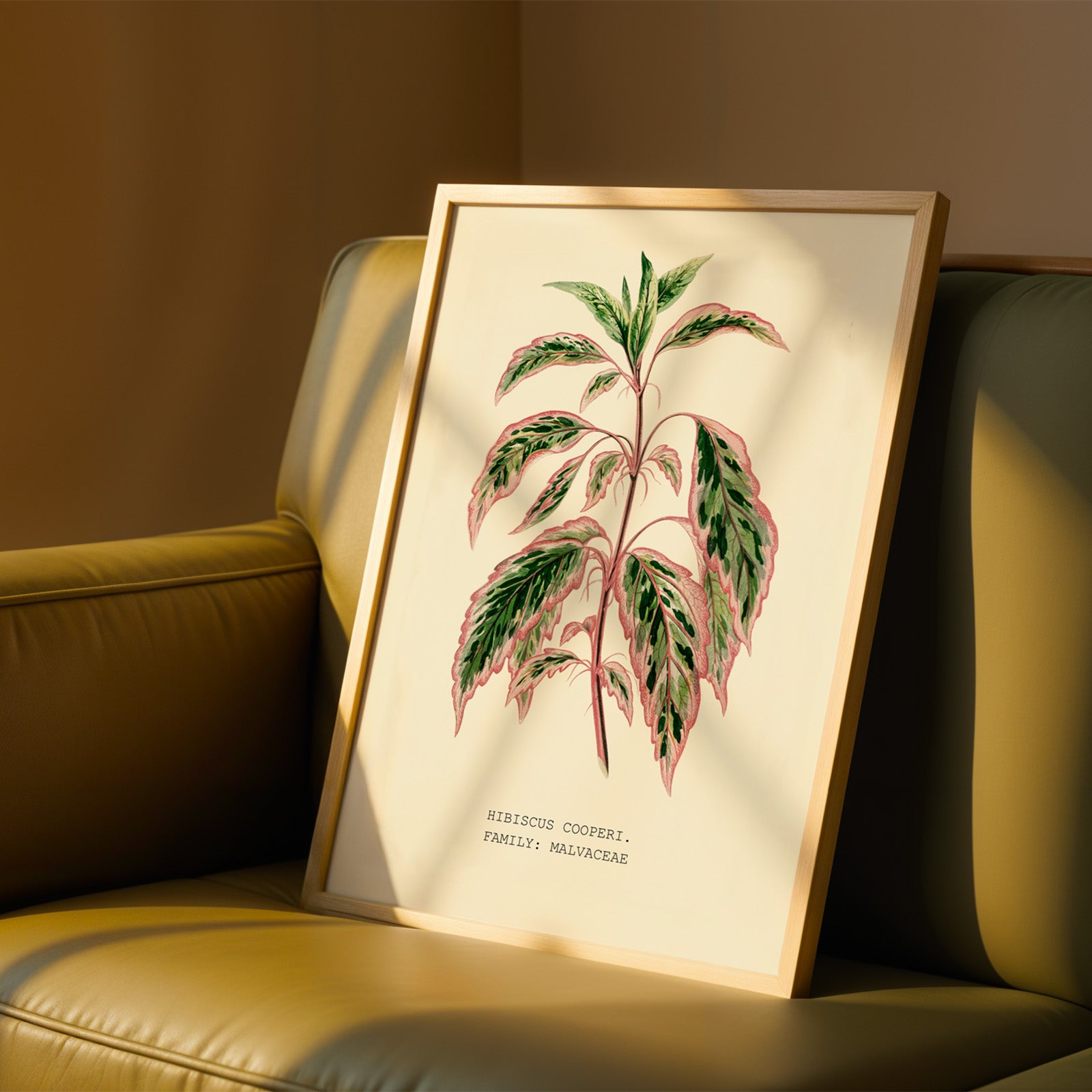 A framed botanical illustration of a tropical plant is displayed on a brown leather couch.