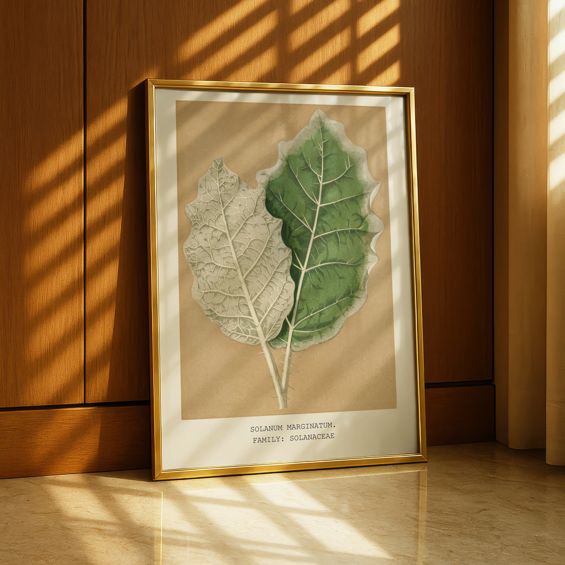 A framed botanical illustration of two leaves, one green and one white, is displayed on a wooden wall.