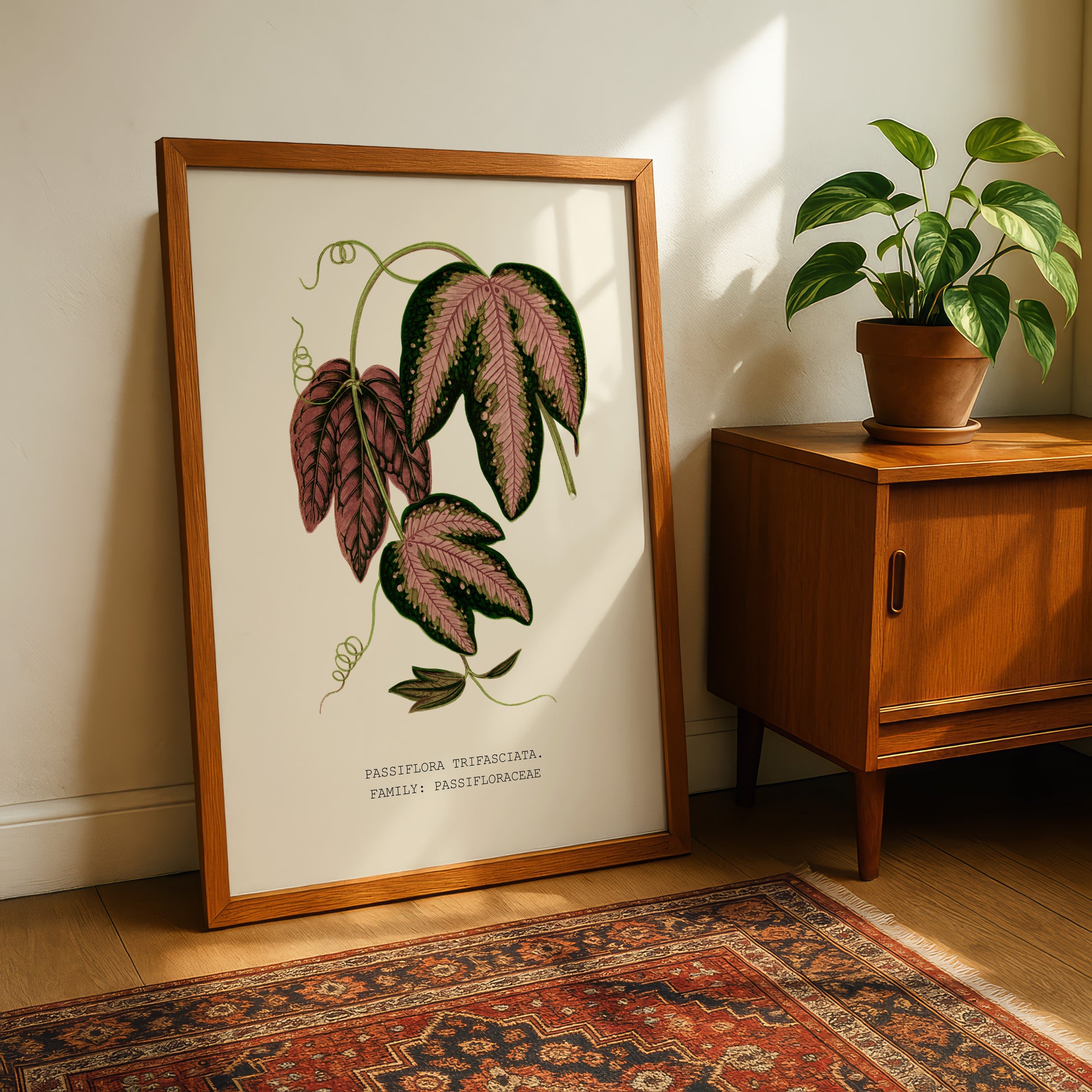 a framed botanical illustration of a plant with large, vibrant leaves, placed on a wooden cabinet next to a potted plant.