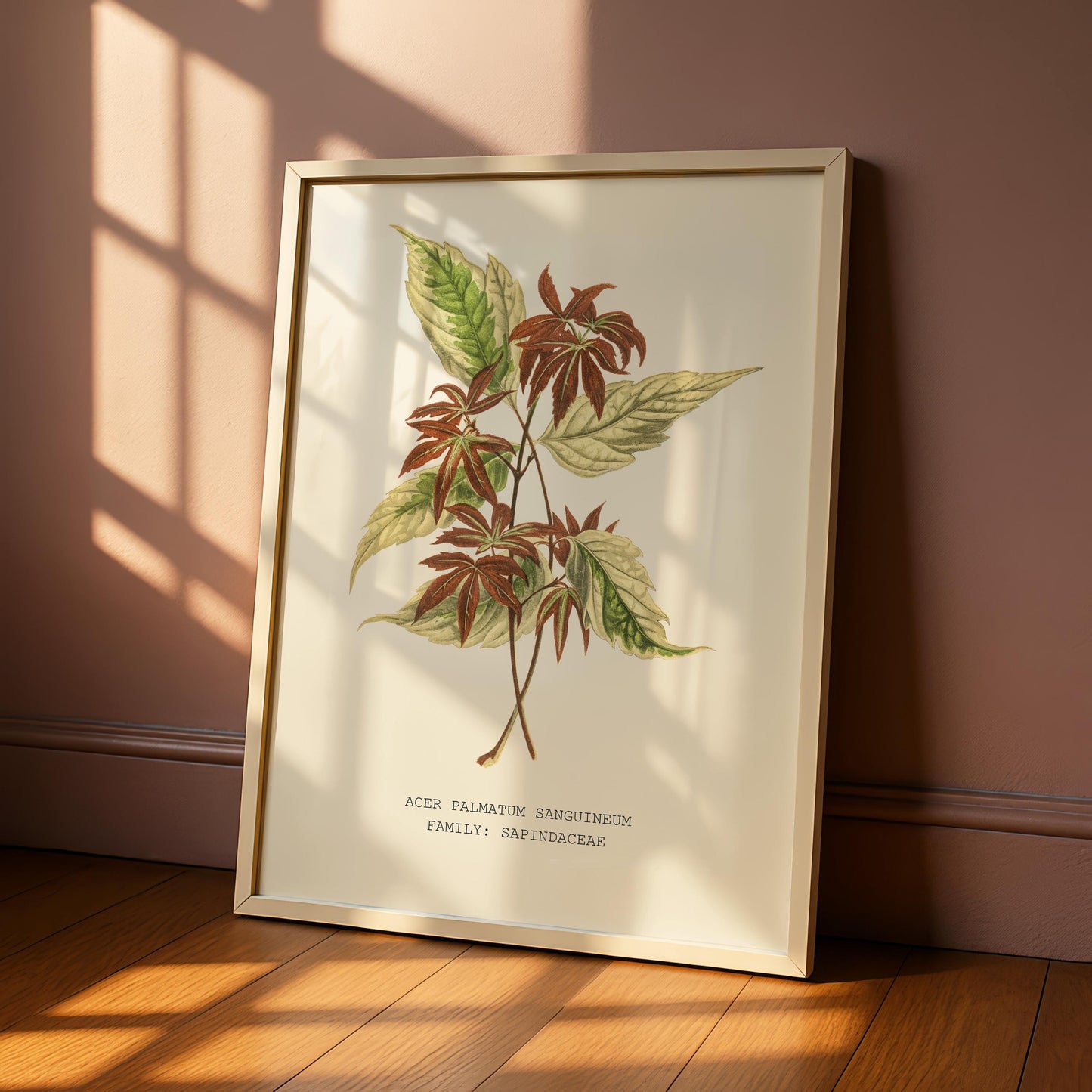 Japanese Maple Print