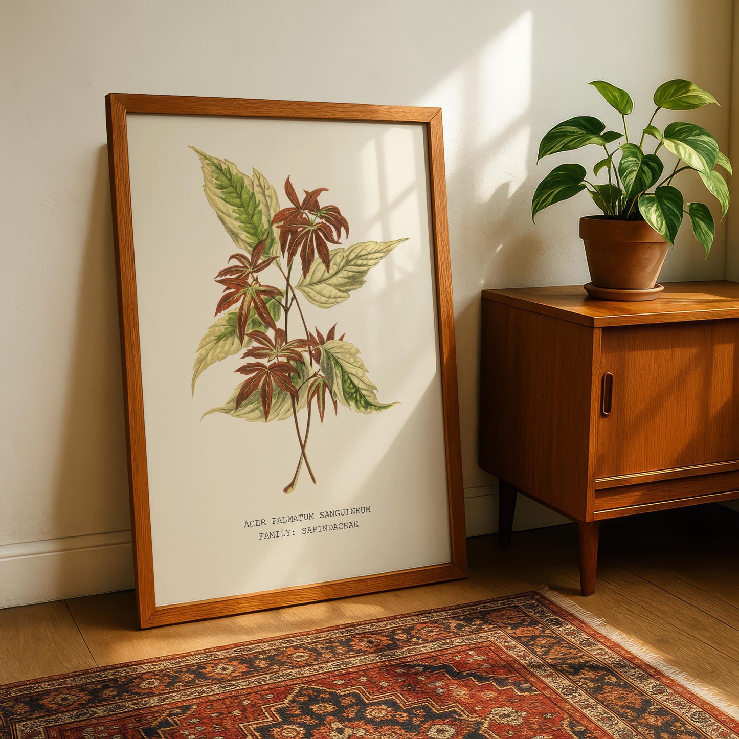 Japanese Maple Print