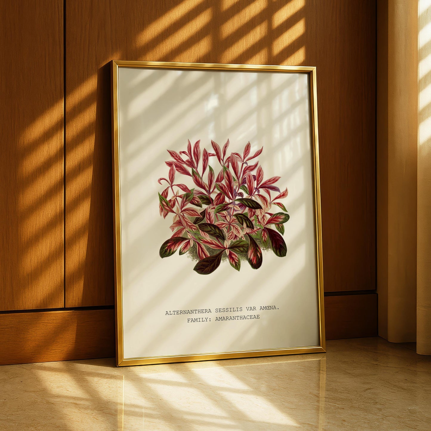 Alternanthera Sessilis Print