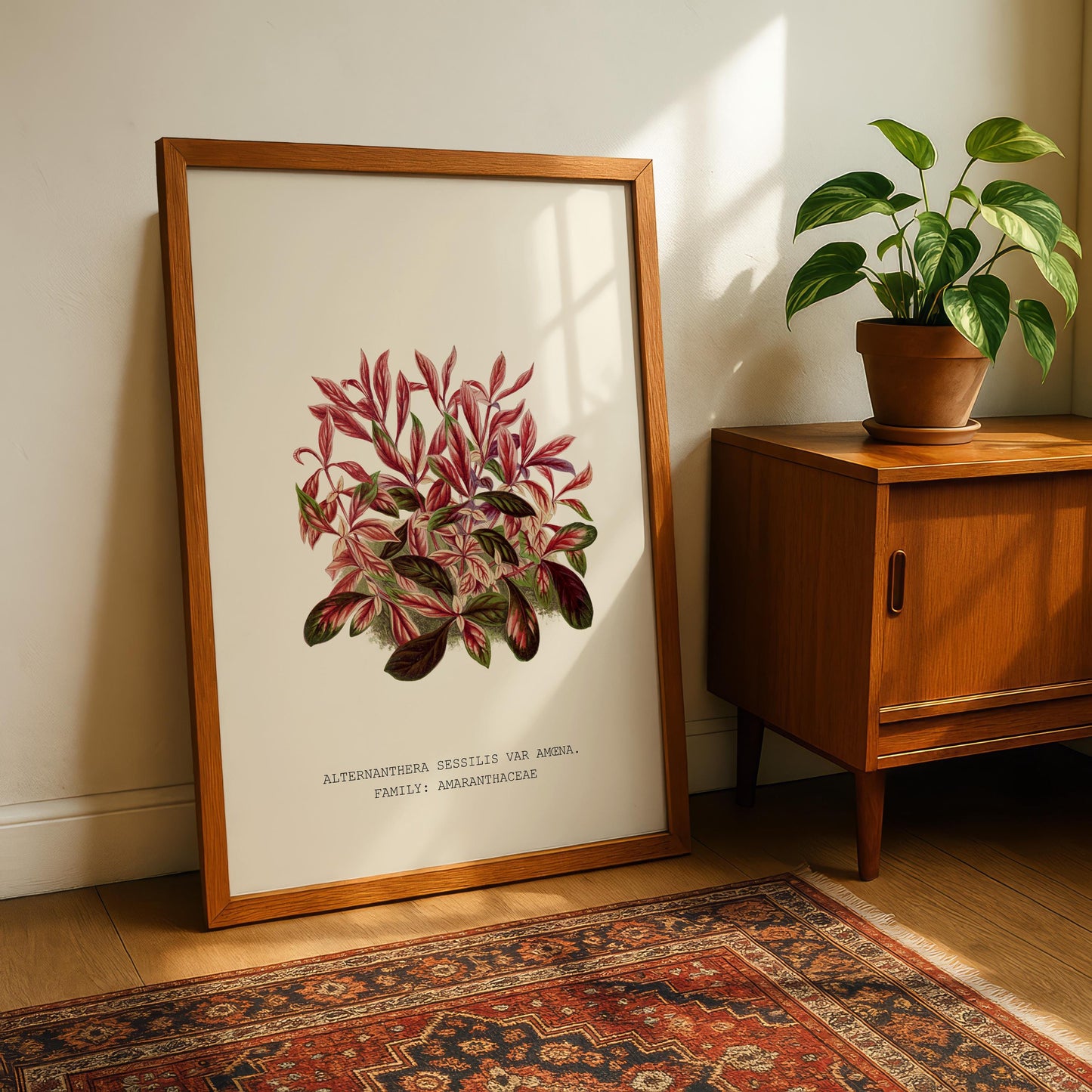 Alternanthera Sessilis Print