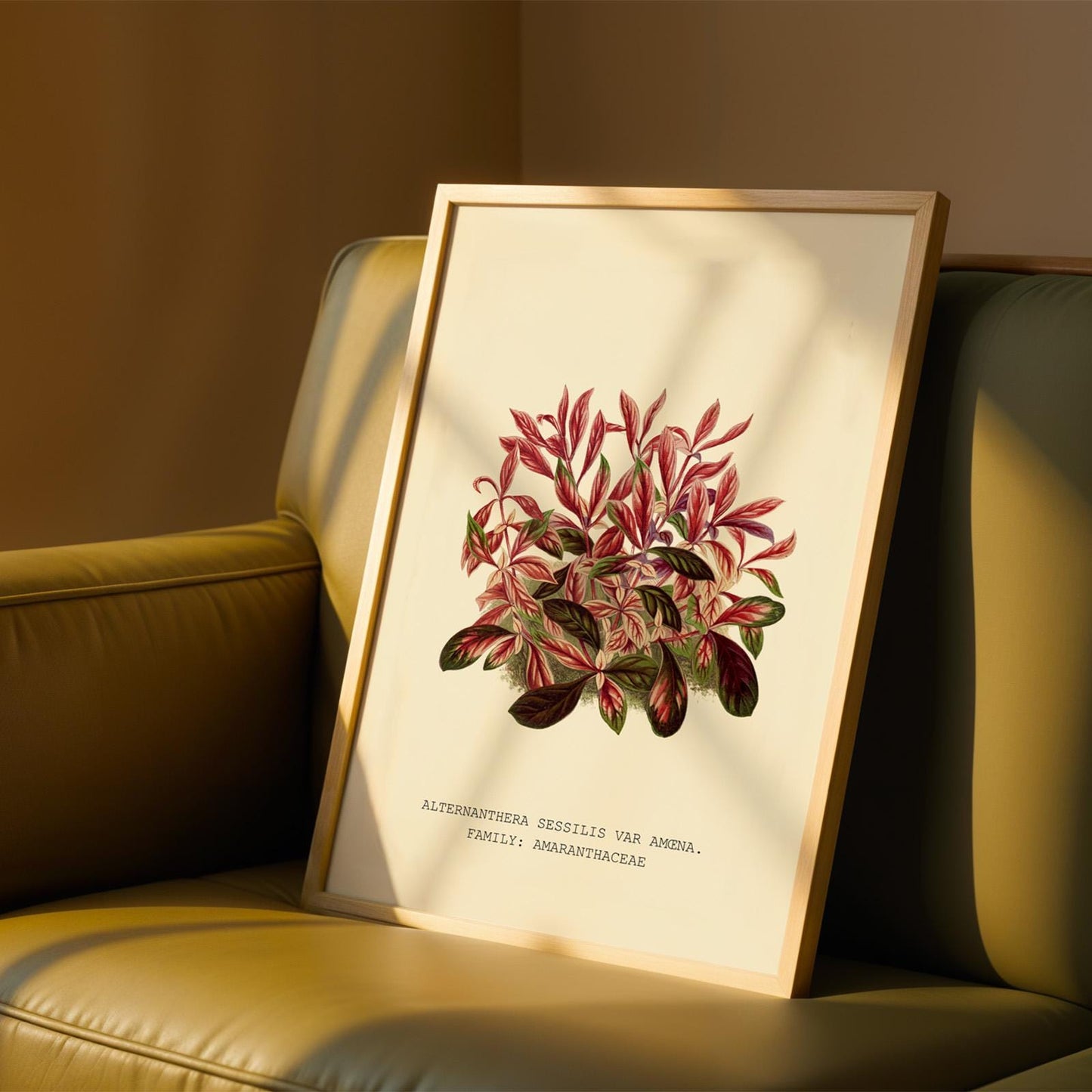 Alternanthera Sessilis Print