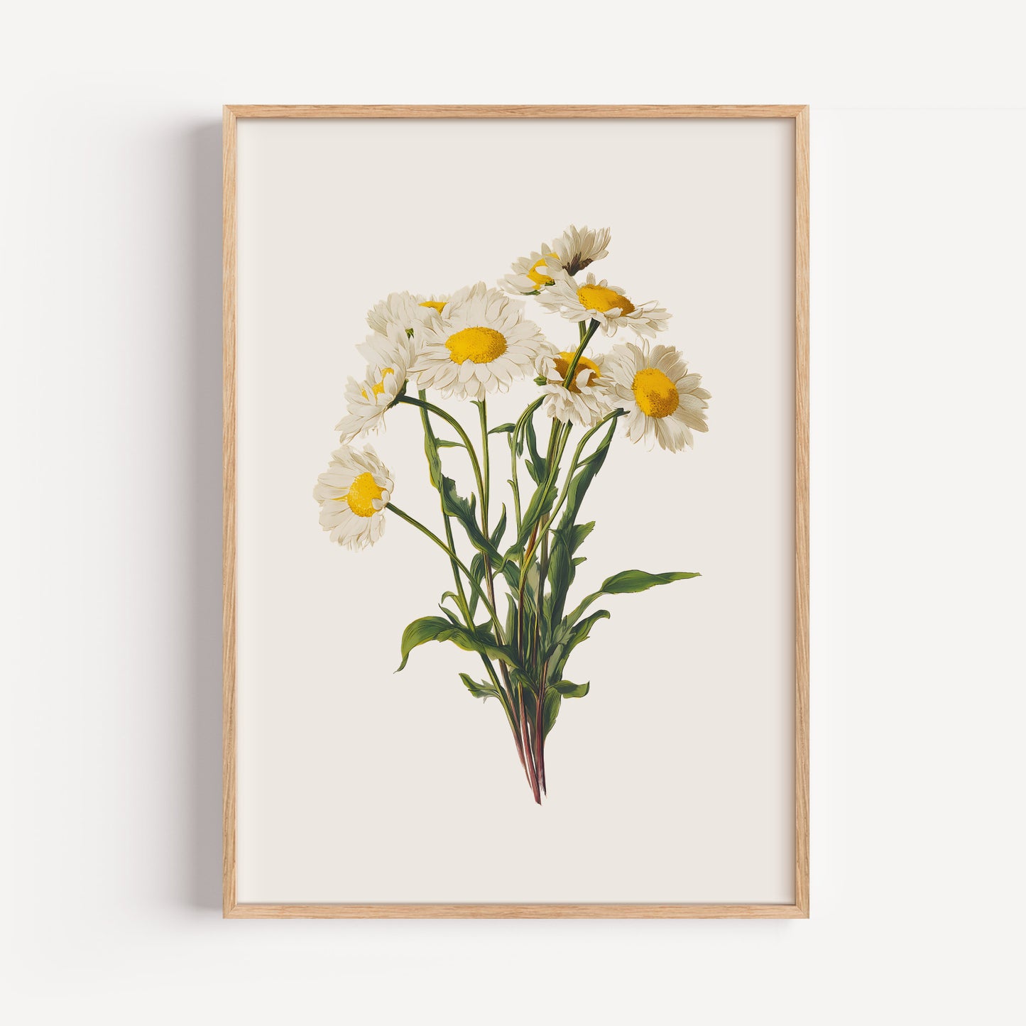 April Daisy Birth Flower Print