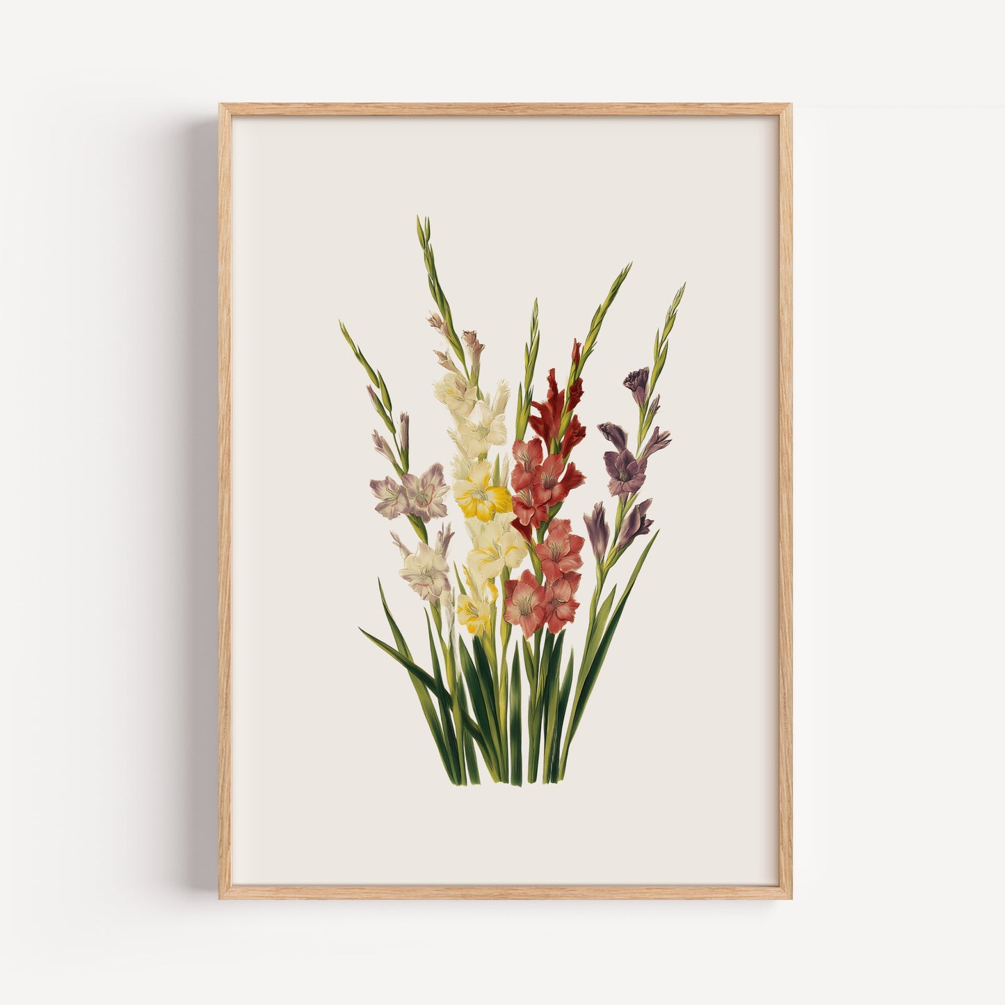 August Gladiolus Birth Flower Print