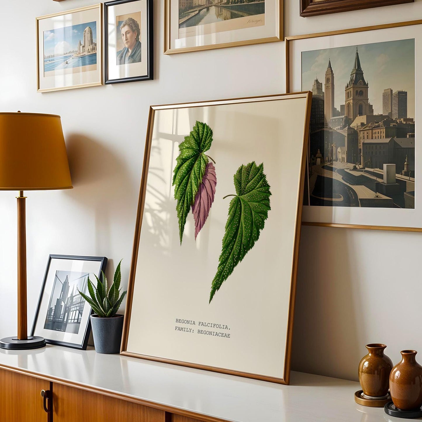 Begonia Falcifolia Print