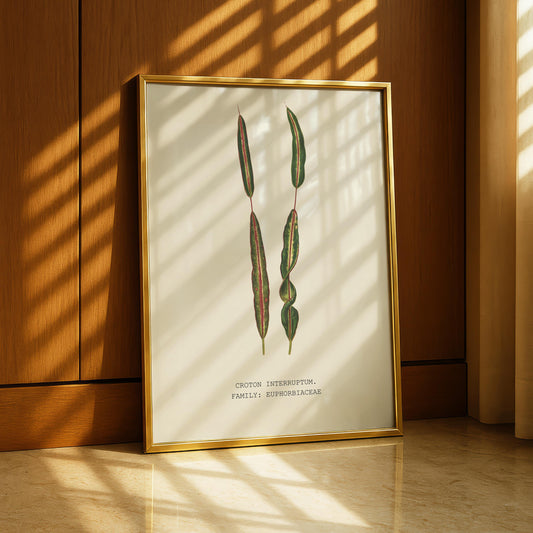 Croton Interruptum Print