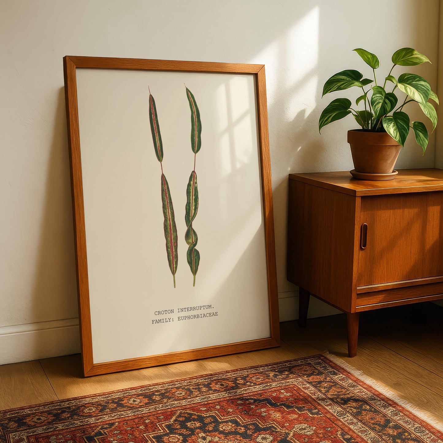Croton Interruptum Print