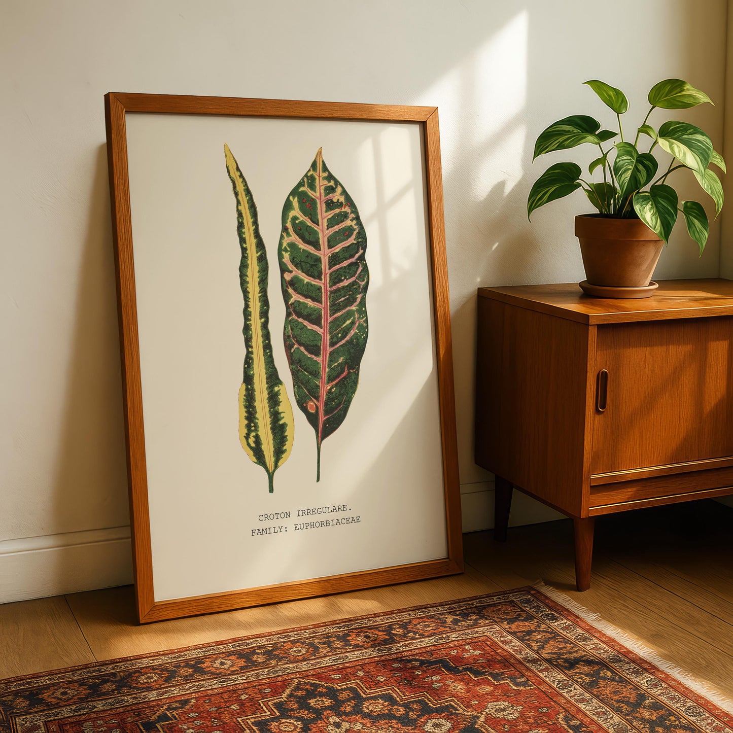 Croton Irregulare Print