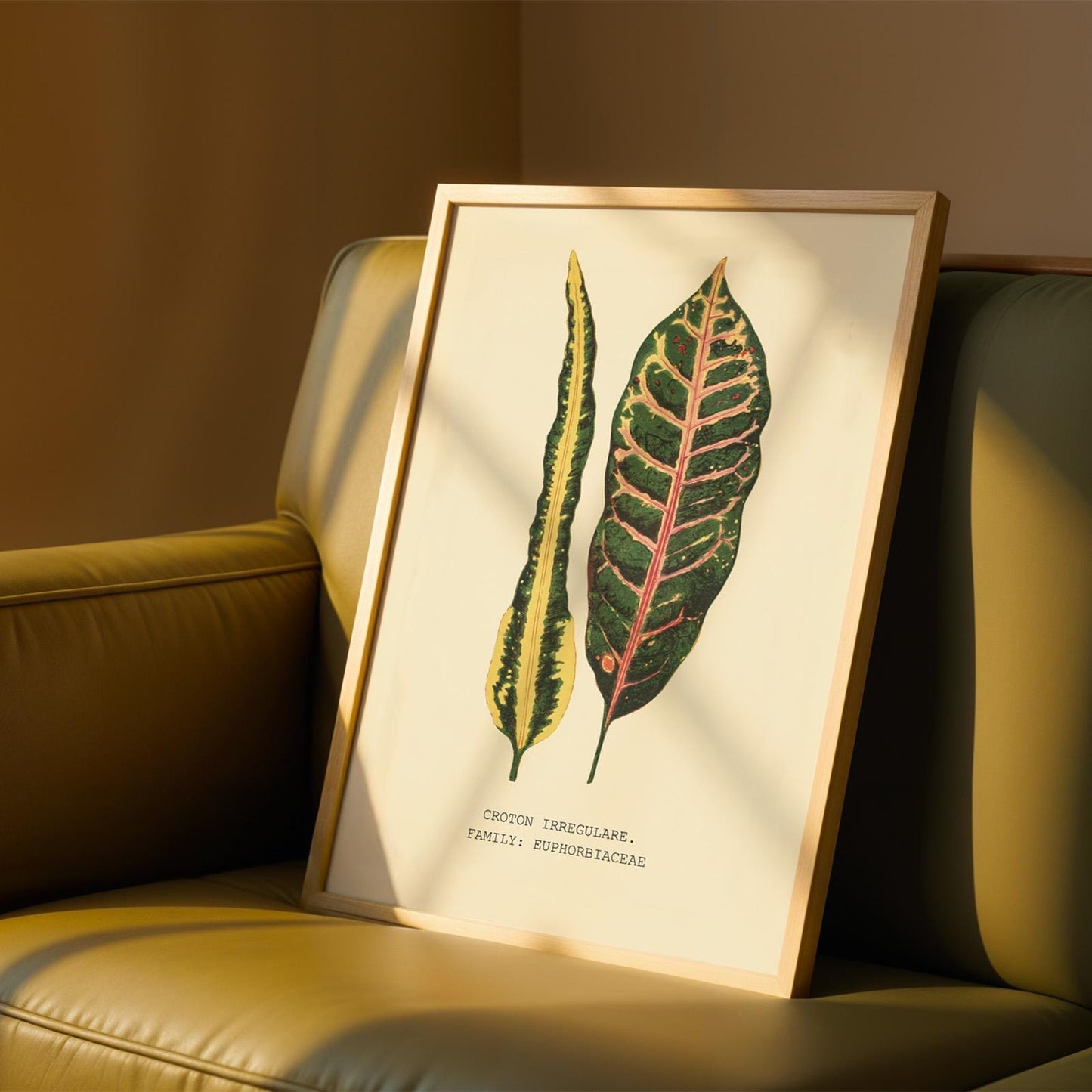 Croton Irregulare Print