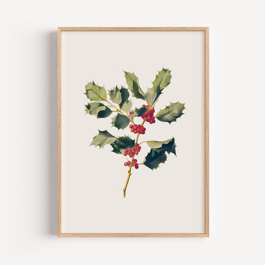 December Holly Birth Flower Print