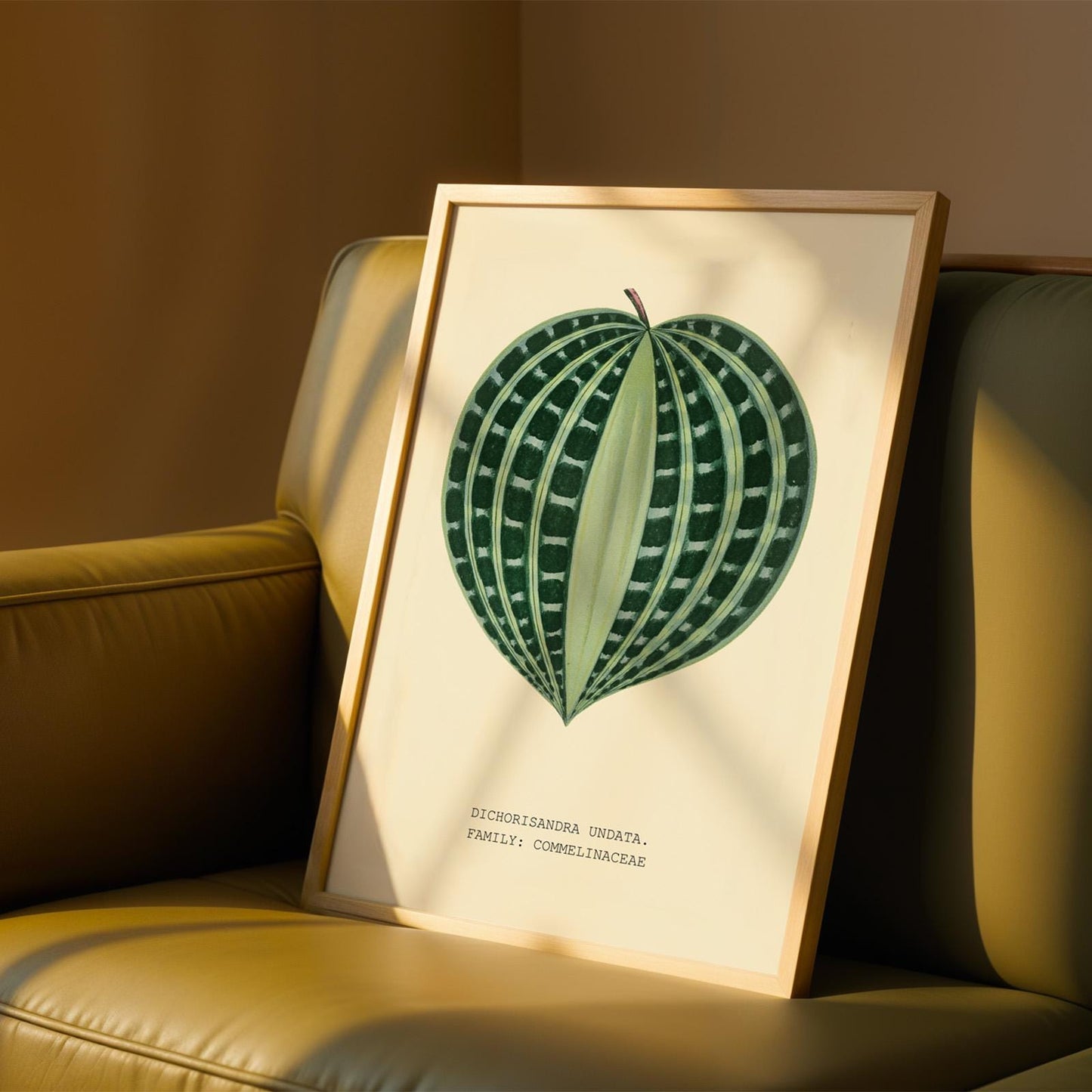 Dichorisandra Undata Botanical Print