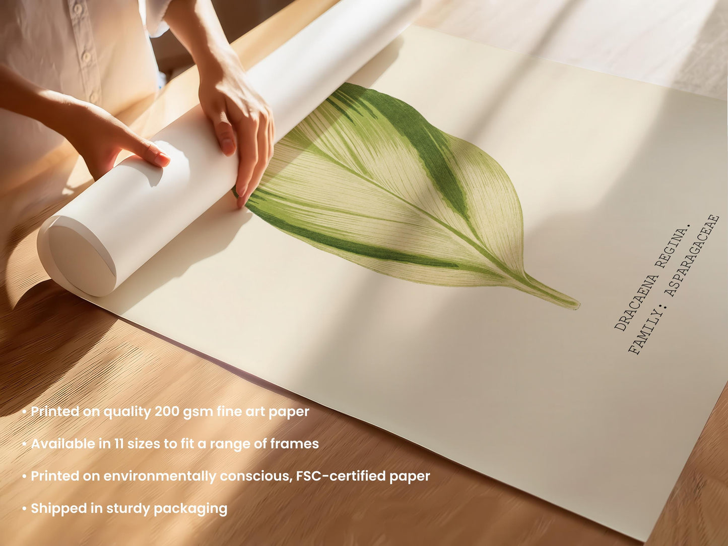Dracaena Regina Print