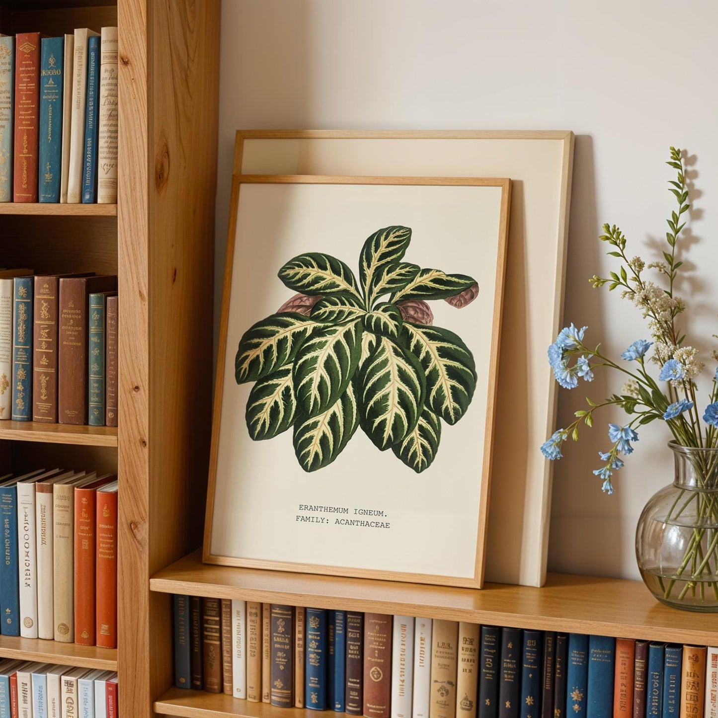 Eranthemum Igneum Botanical Print