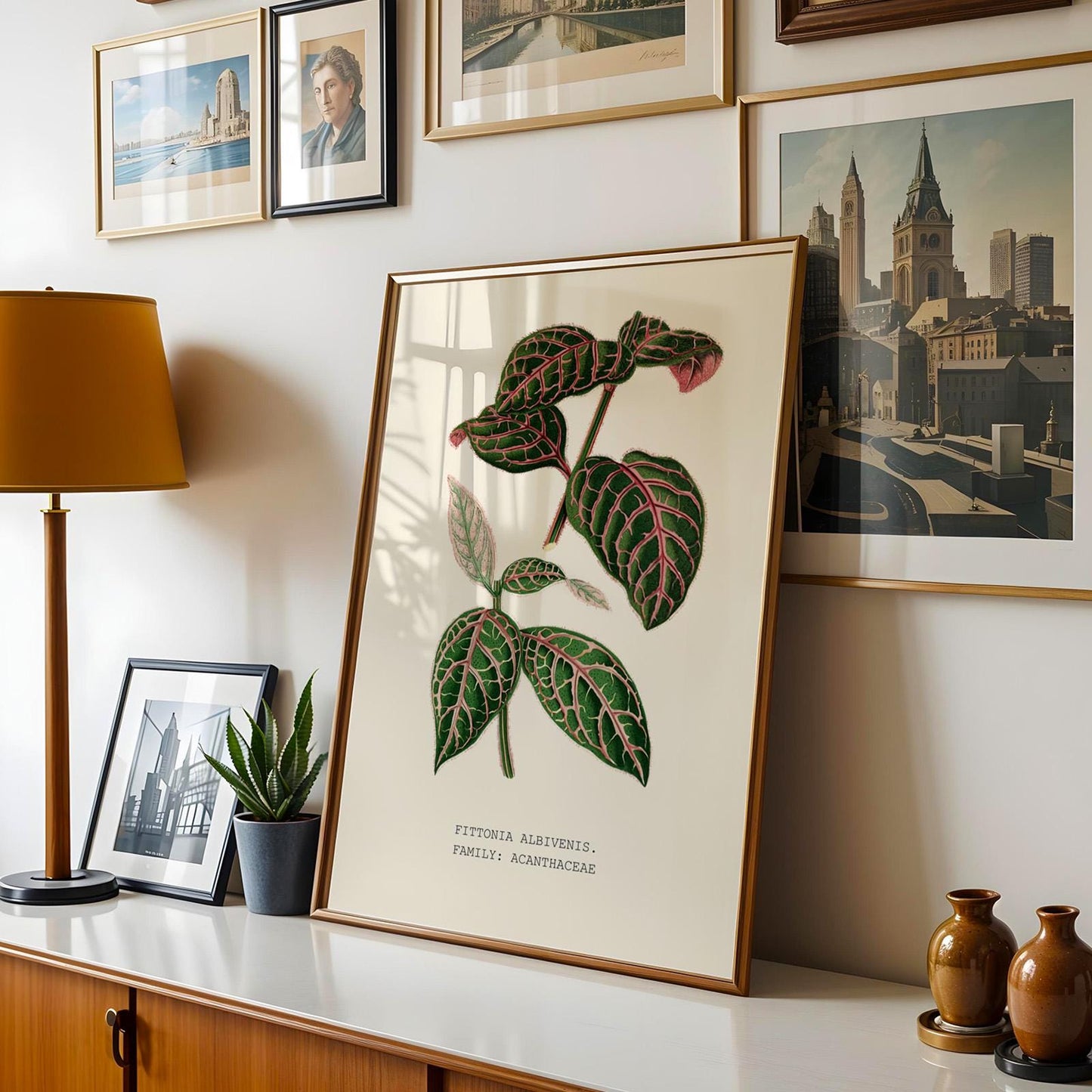 Fittonia Albivenis Print