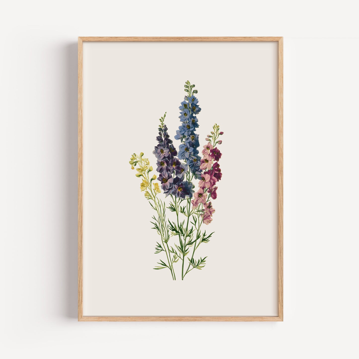 July Larkspur Birth Flower Print