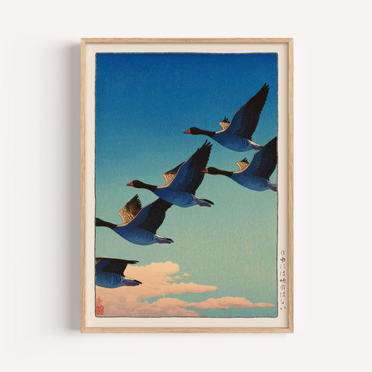 Japanese Flying Geese Print