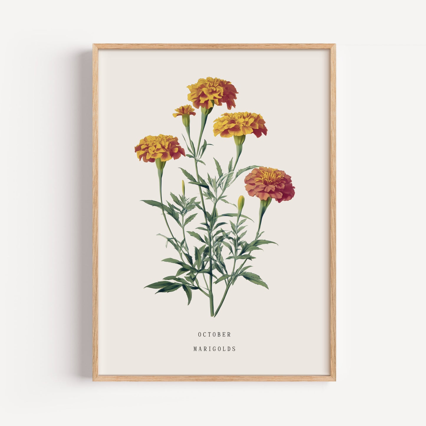 October Marigold Birth Flower Print
