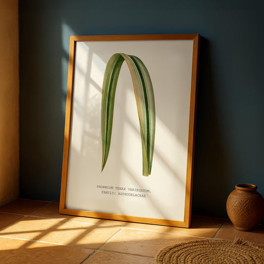 New Zealand Flax Print