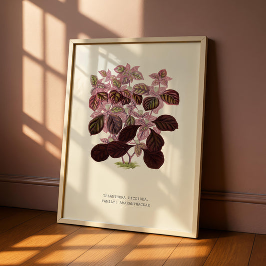 Joseph’s Coat Botanical Print