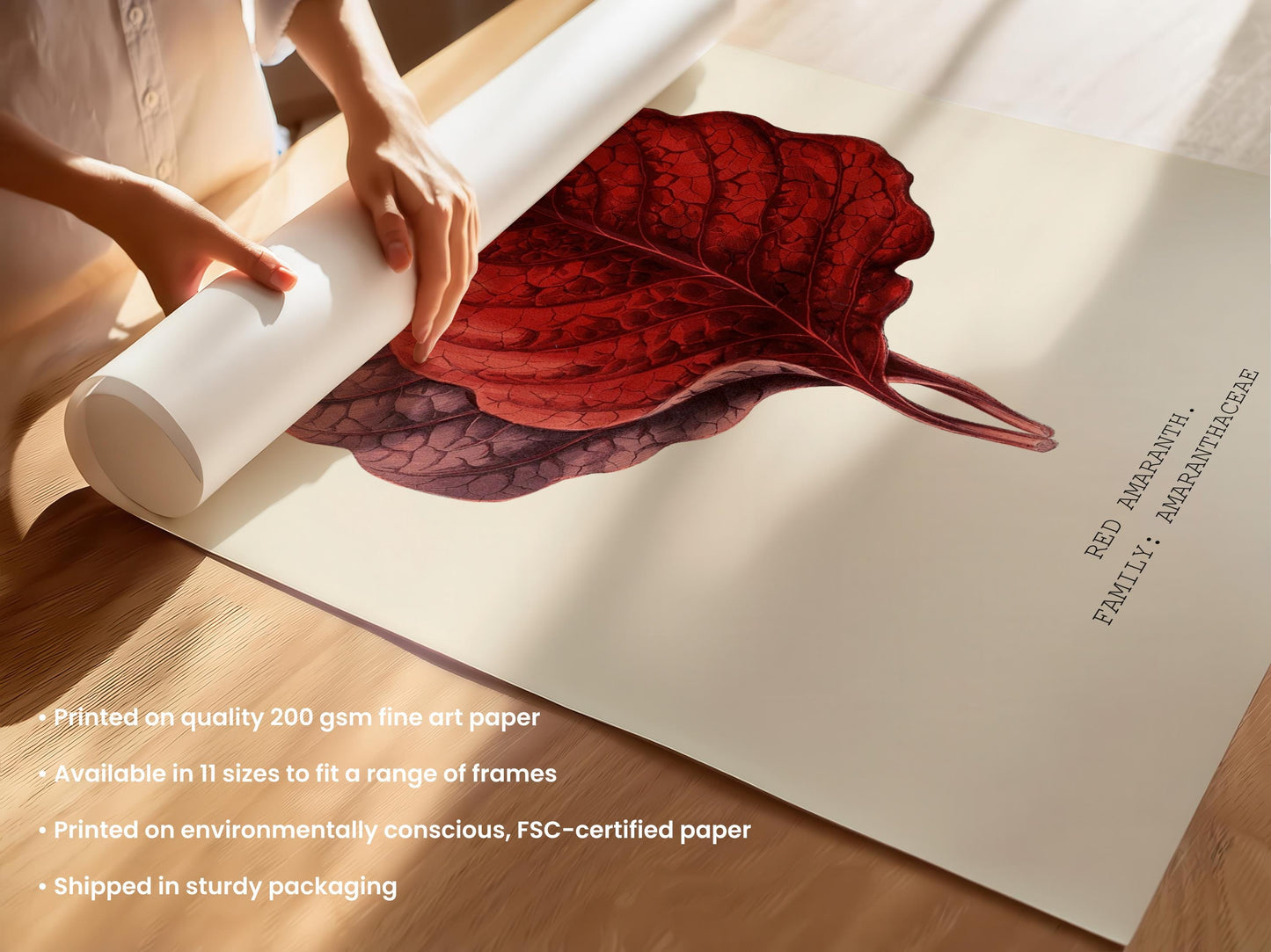 Red Amaranth Botanical Print