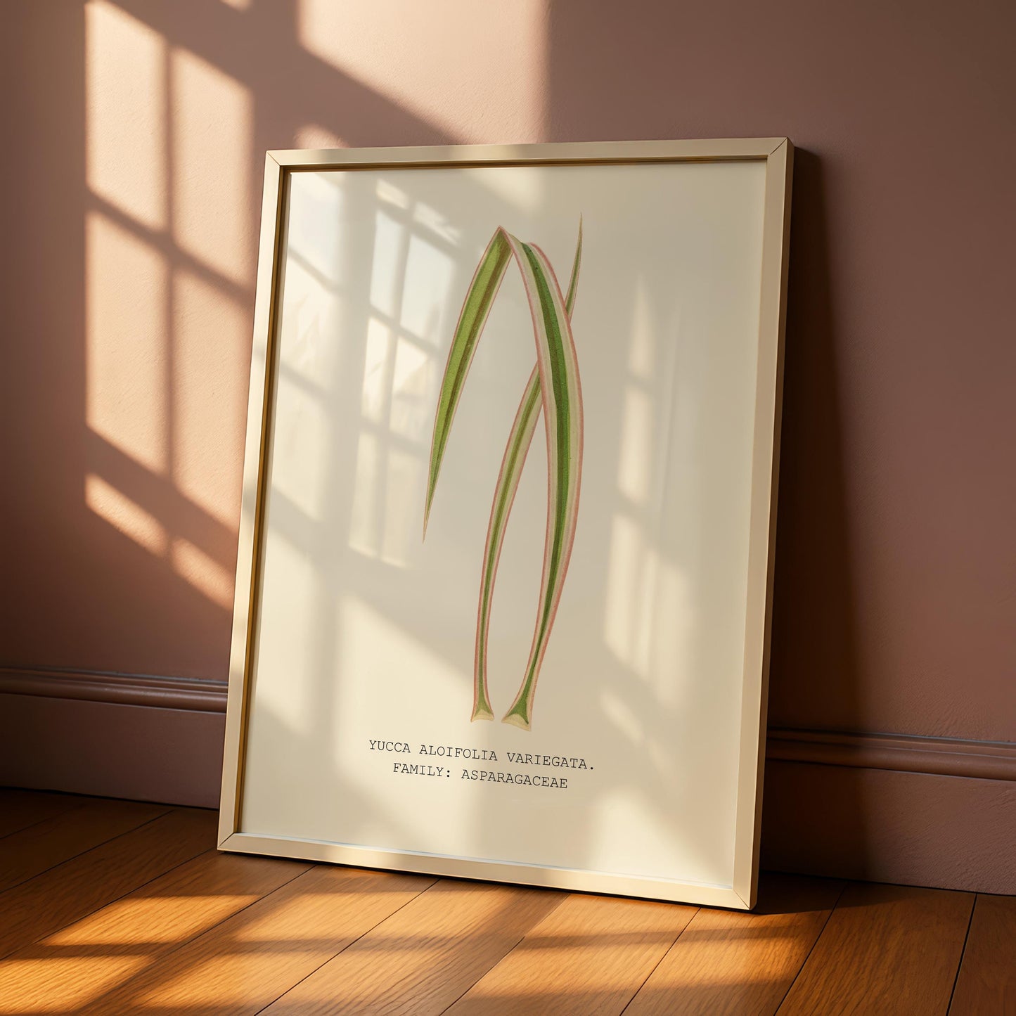 Variegated Yucca Print