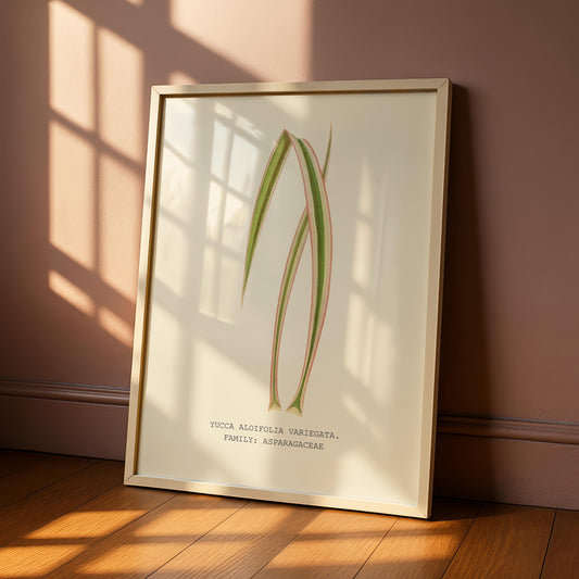 Variegated Yucca Print