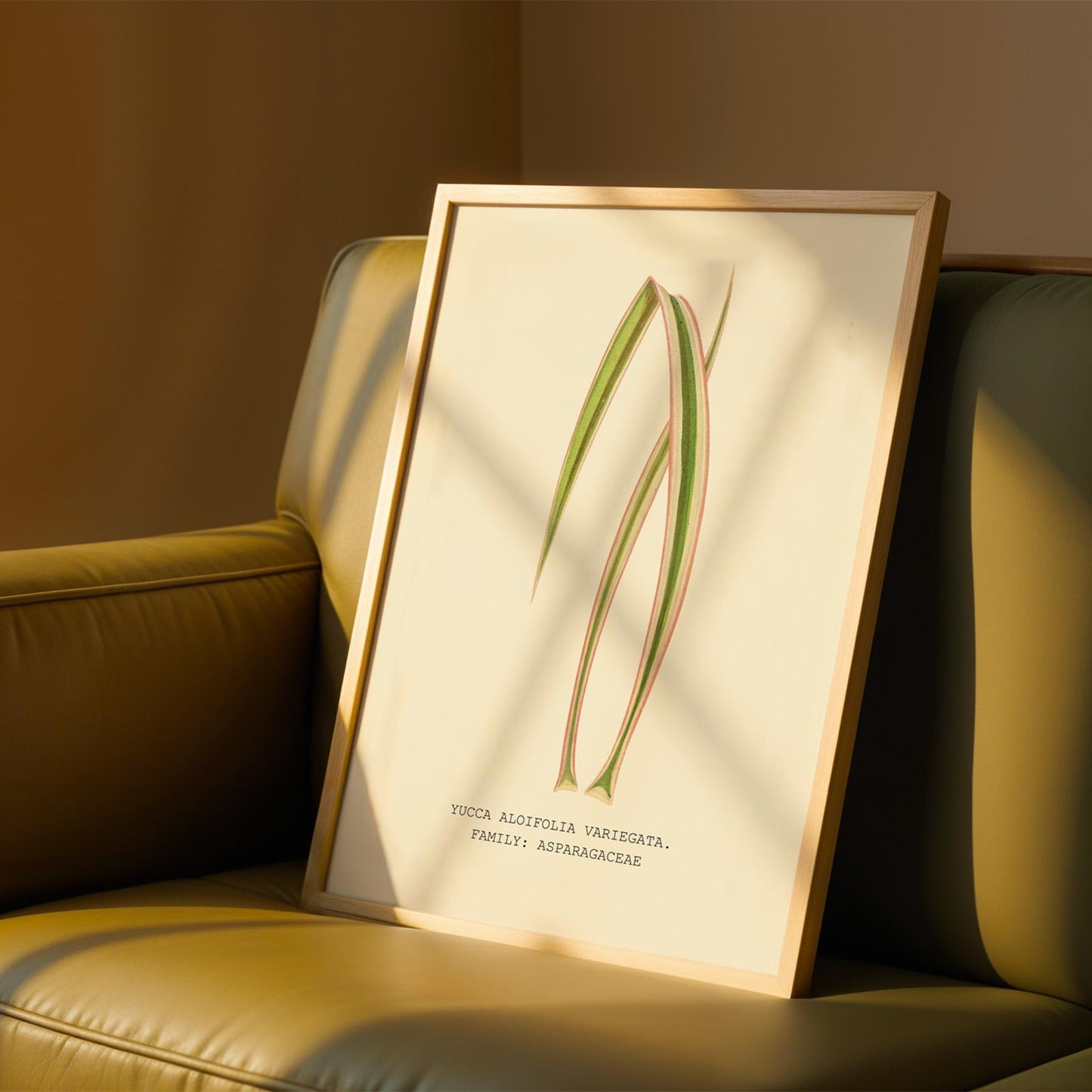 Variegated Yucca Print