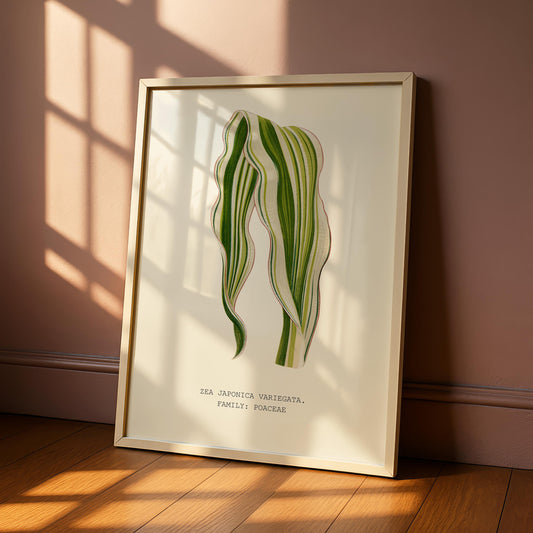 Zea Japonica Variegata Print