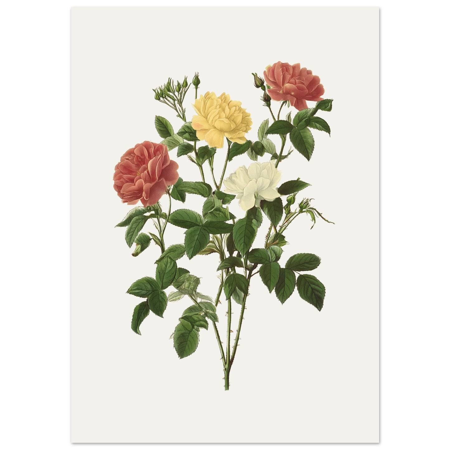 a0cbe26c-995f-4bda-b5f2-c2e1b15f0f65