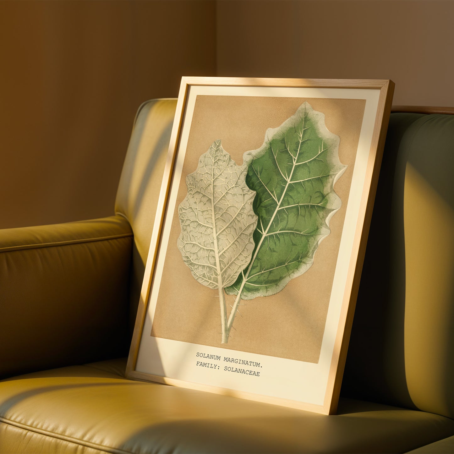 A framed botanical illustration of two leaves, one green and one white, is displayed on a brown leather couch.