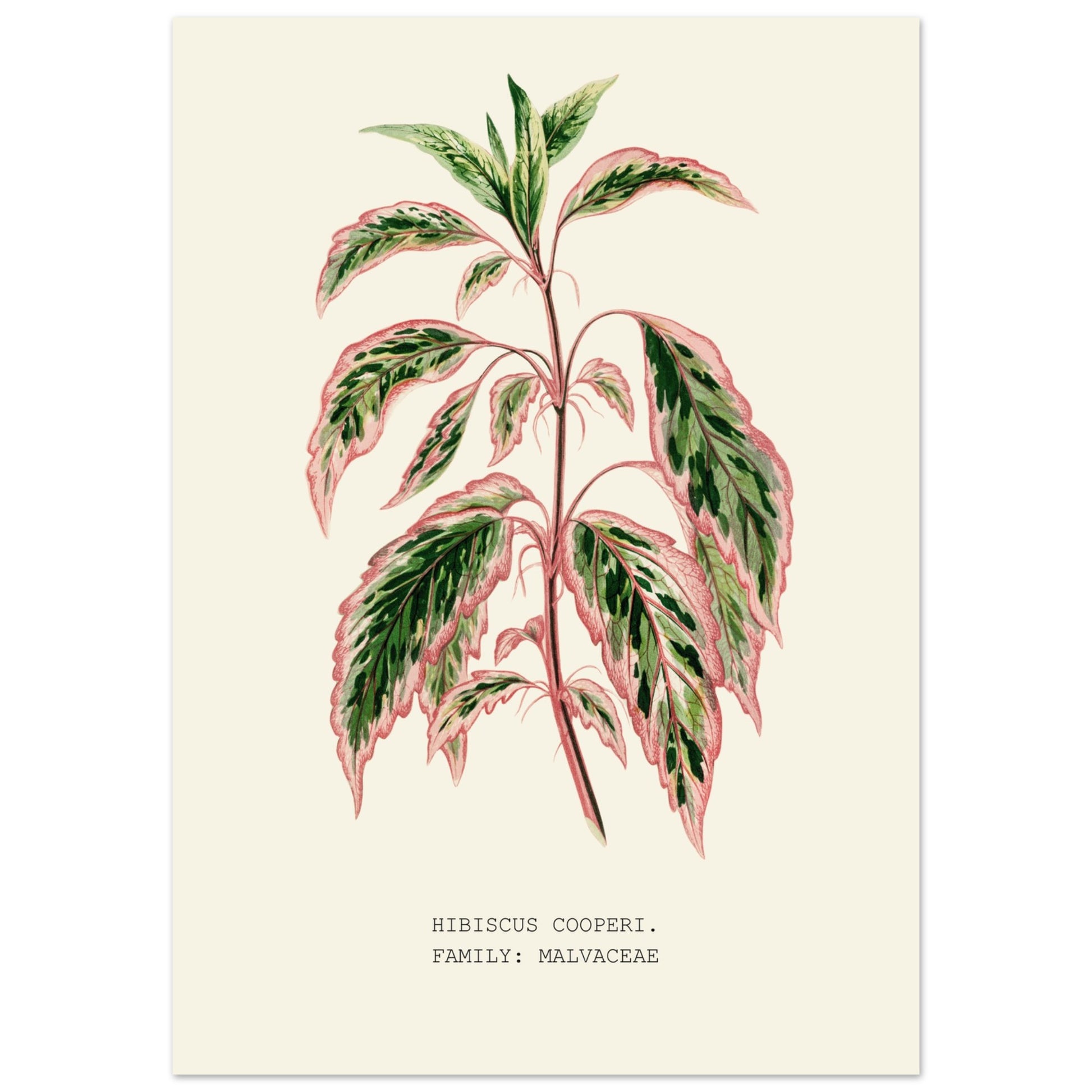 c3020b32-6244-4c25-a928-bcf77f7a5fb1