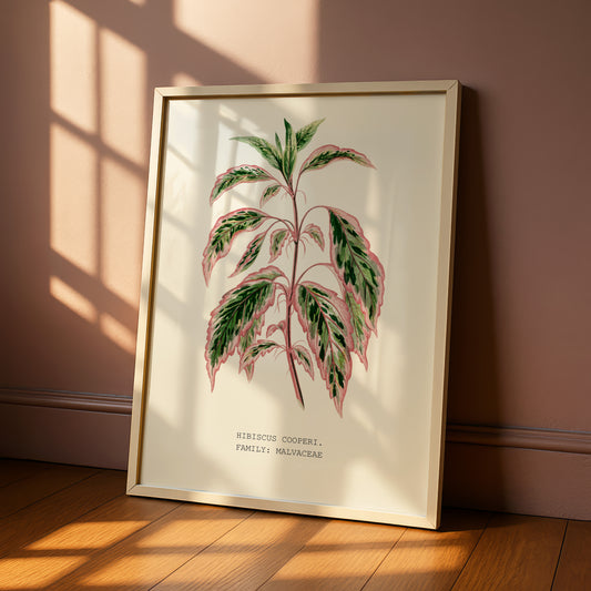 A framed botanical illustration of a tropical plant with large leaves and a pink stem is displayed on a wooden floor against a pink wall.
