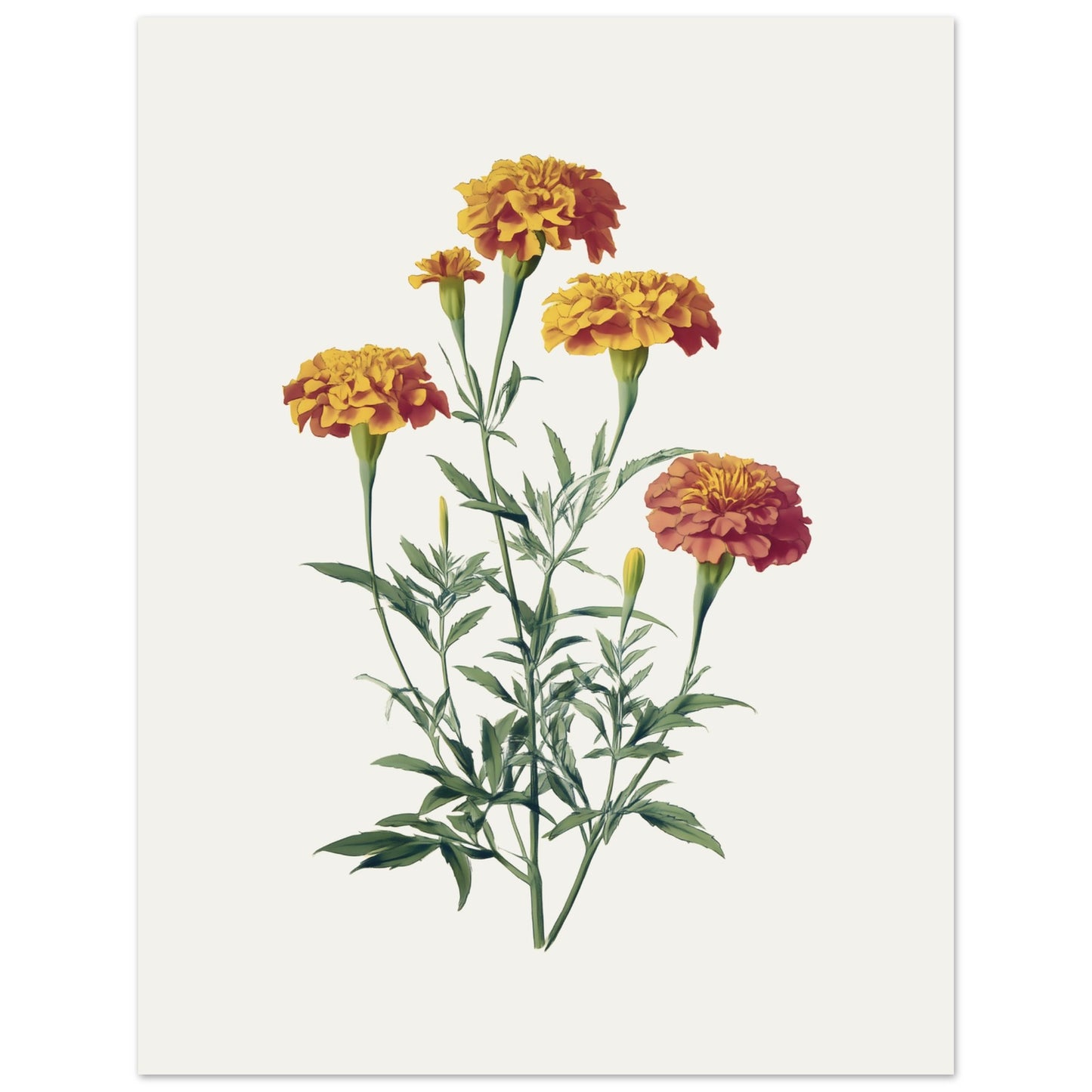 ed6fe41e-f1a3-491c-abc6-4e9d0f43d95f