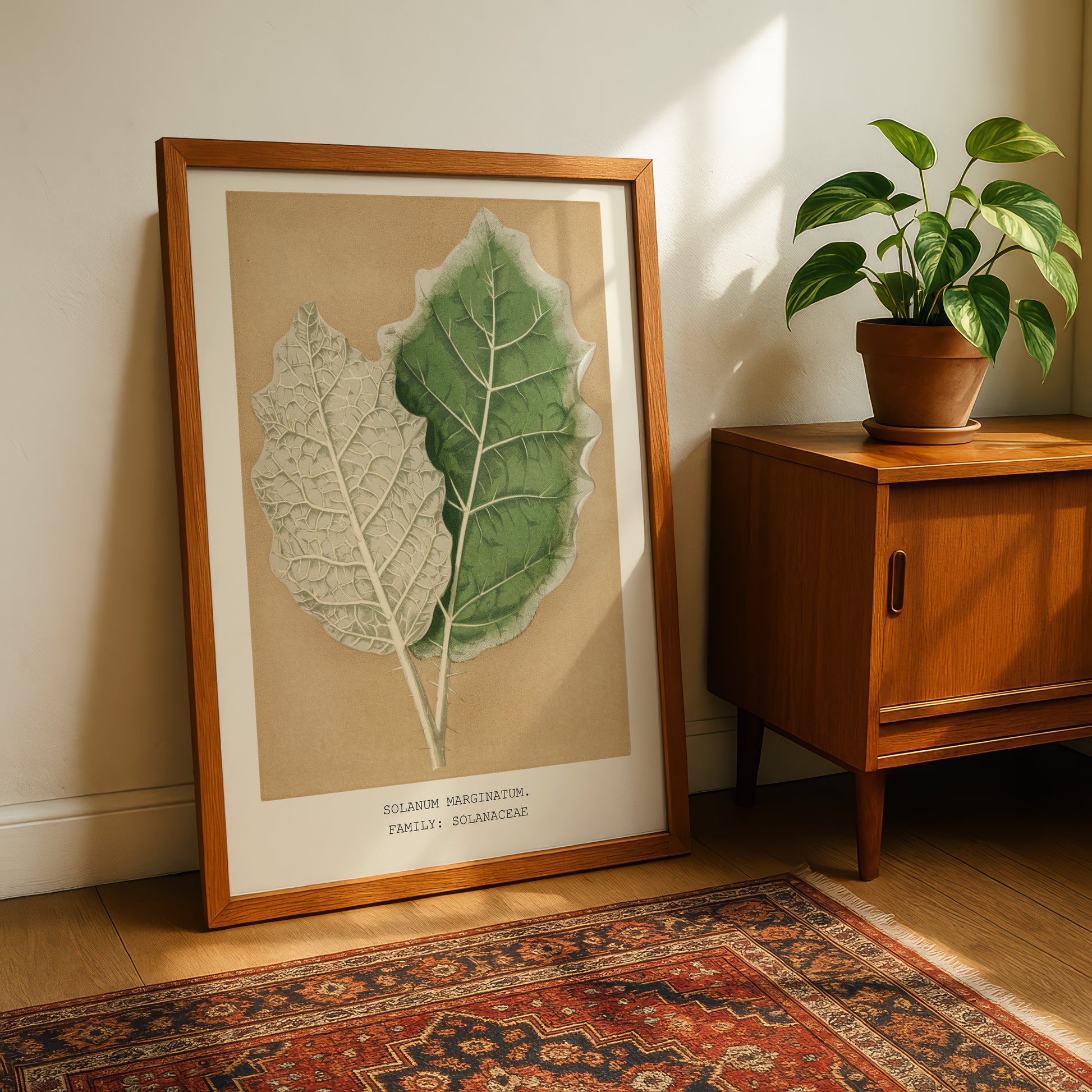 a framed botanical illustration of two leaves, one green and one white, placed on a wooden cabinet next to a potted plant.