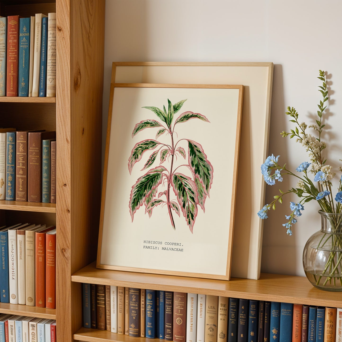 a wooden bookshelf with a framed botanical illustration of a plant on the shelf, surrounded by various books. A vase of blue flowers is also present on the shelf.