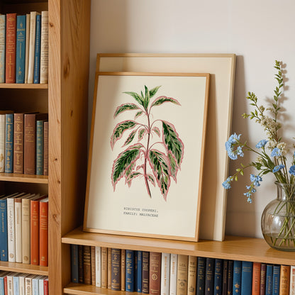 a wooden bookshelf with a framed botanical illustration of a plant on the shelf, surrounded by various books. A vase of blue flowers is also present on the shelf.