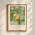 Ducks