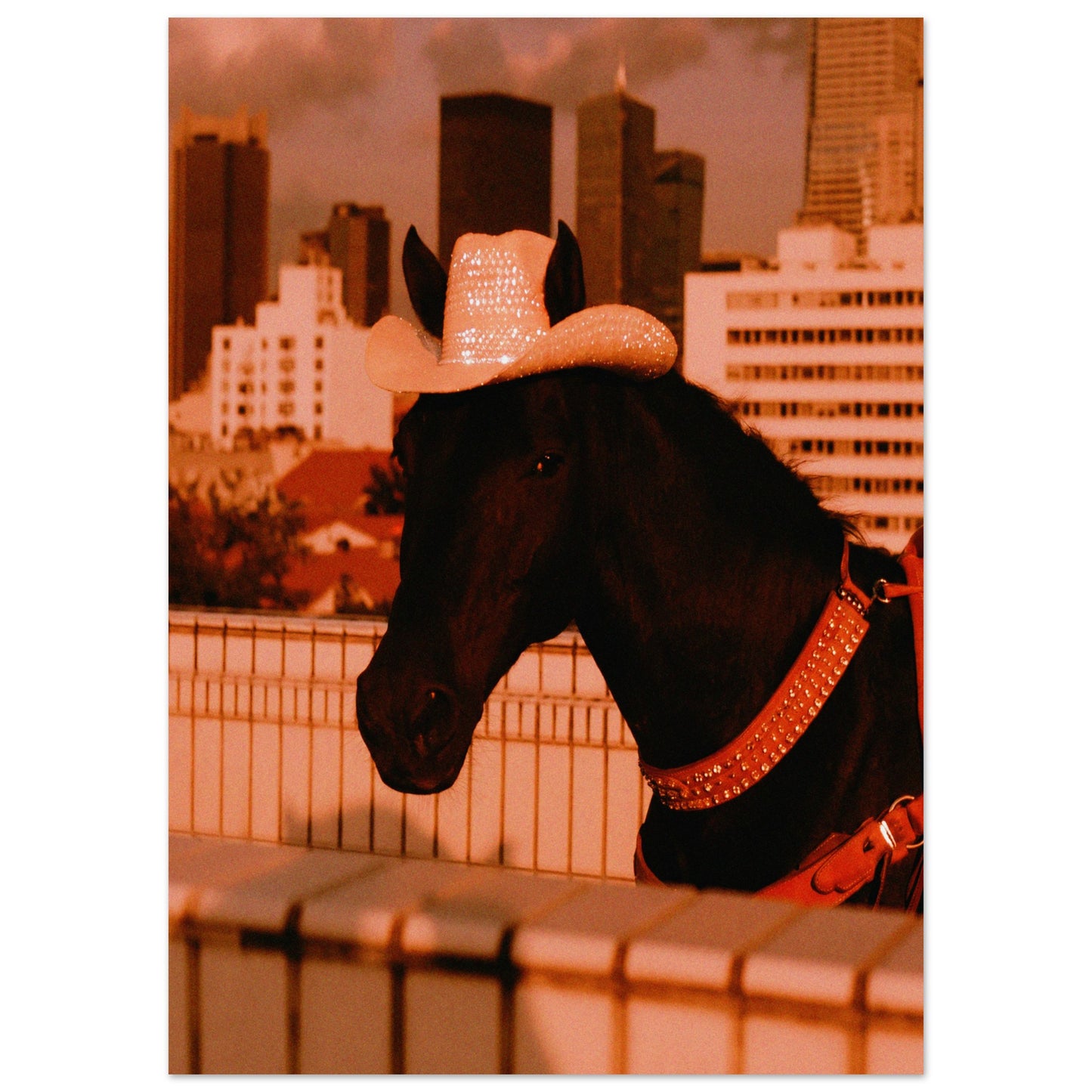 1d844055-2c39-4c5f-ad99-dba904179eef