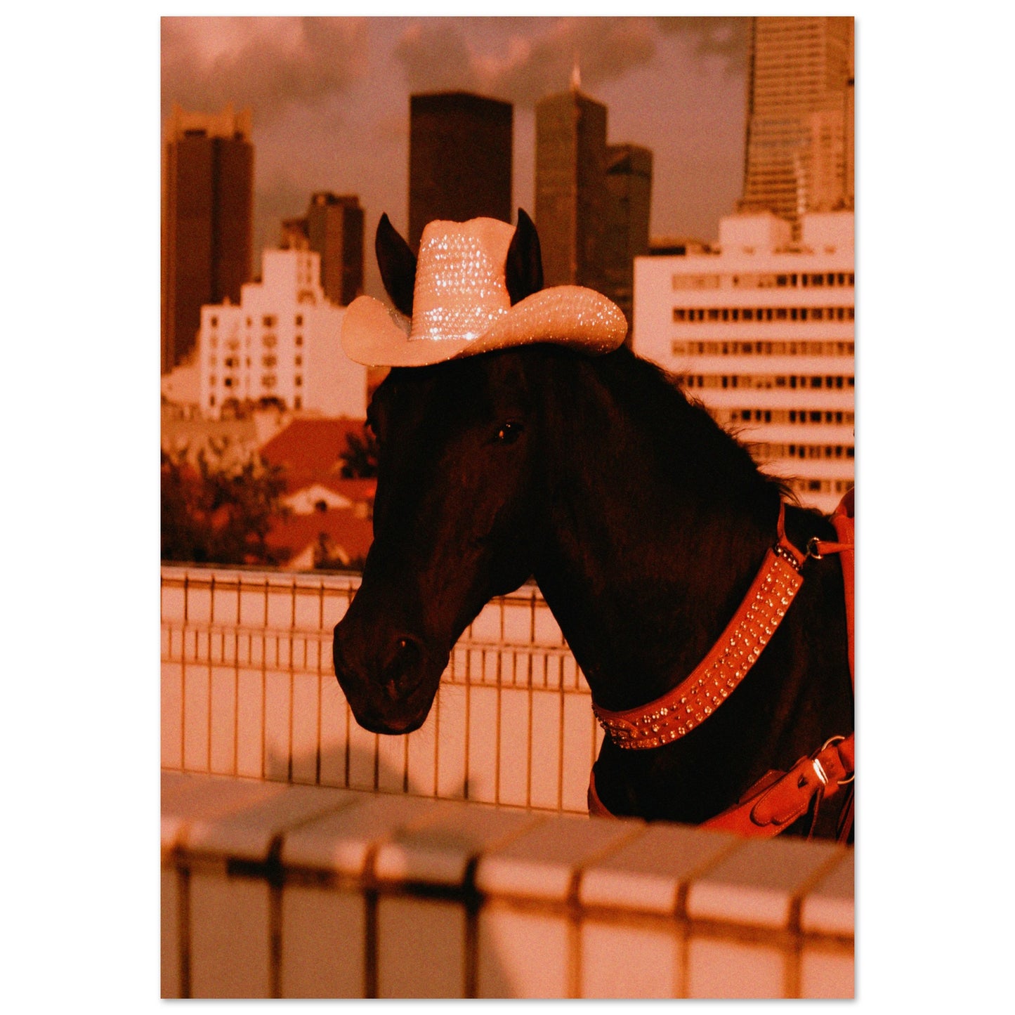 3660f6a8-e1b2-4d1a-b03f-bbedc023a4f4