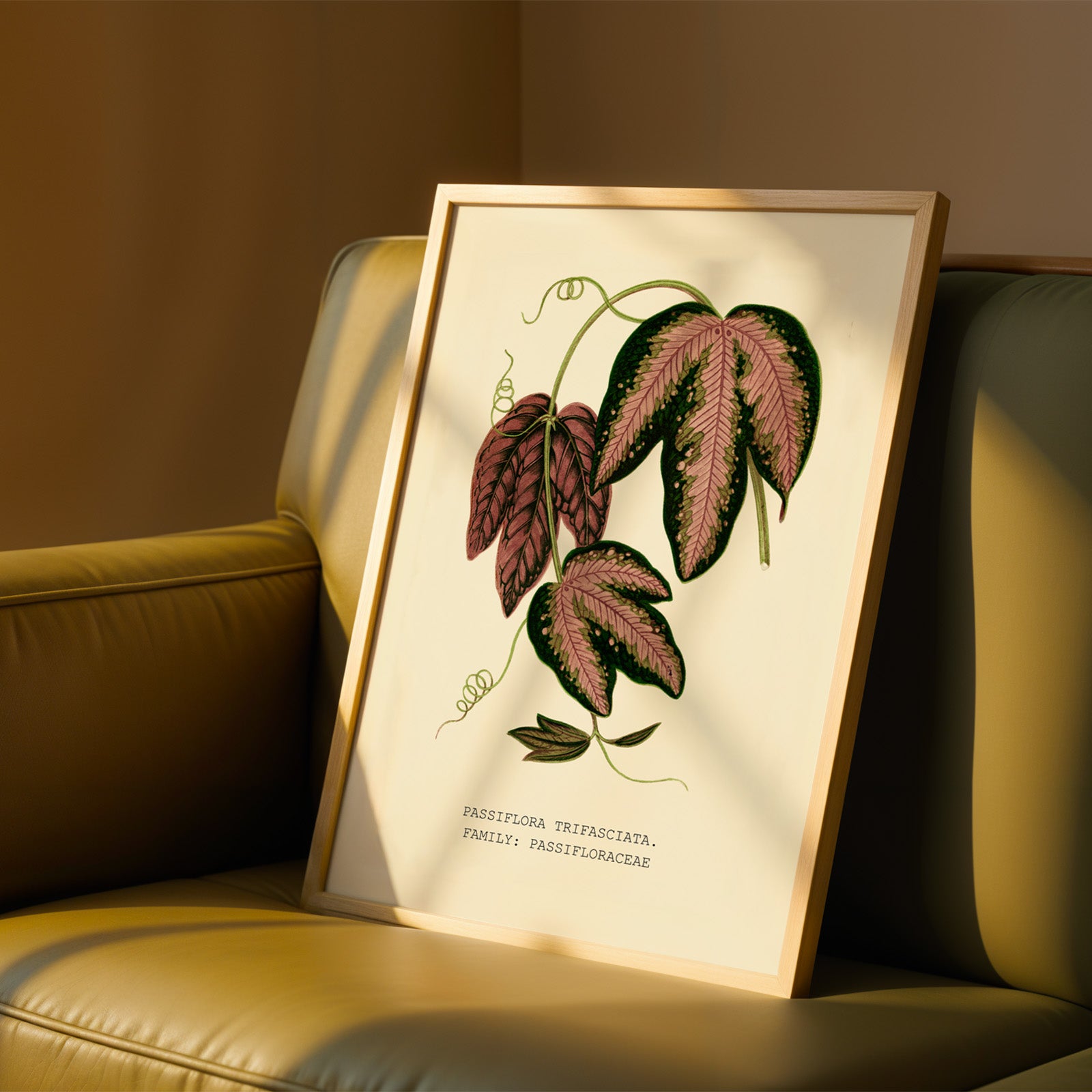 A framed botanical illustration of a plant with large, colorful leaves is displayed on a beige couch.