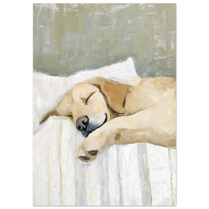 63bc1a97-b927-4674-b479-bc71bb6b242c