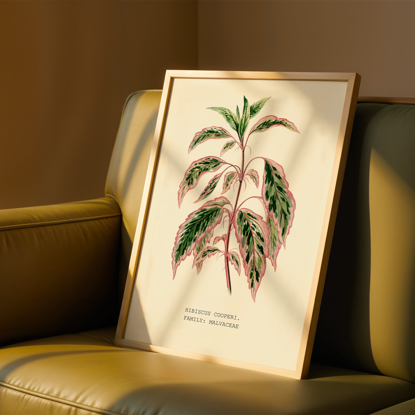 A framed botanical illustration of a tropical plant is displayed on a brown leather couch.