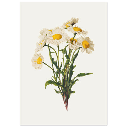 6f070683-e74d-4c1c-ae6d-f61c39a49254