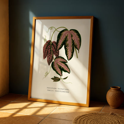 a framed botanical illustration of a plant with large, colorful leaves, placed on a wooden floor next to a small vase.