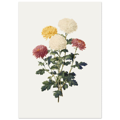 9a9cba85-0014-4ab4-8a64-ab88e2f87f9e