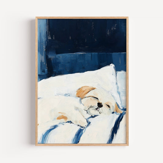 Shih Tzu Art Print